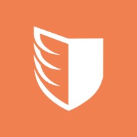 Paladin Drones logo